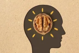 از ترس تا فراموشی/ چگونه دانشمندان ژاپنی خاطرات منفی را خاموش می‌کنند؟