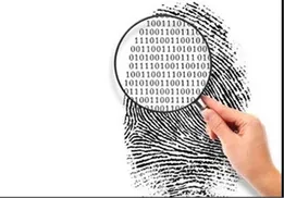 شبیخونی علیه پولشویی و فرار مالیاتی