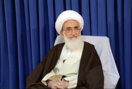واکنش آیت‌الله نوری همدانی به انتشار اخبار سختگیری شیعیان در کشور‌های اسلامی منطقه + جزئیات