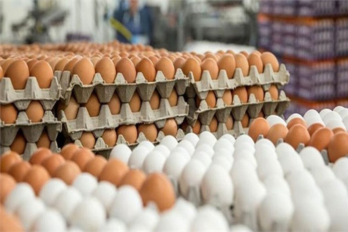 فاصله وعده تا اجرا در بازار مرغ و تخم‌مرغ