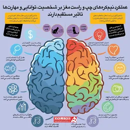 اینفوگرافیک | تاثیر نیمکره های مغز بر عملکرد افراد