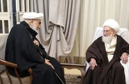 تأکید آیت‌الله نوری همدانی بر حمایت همه جانبه از مقام معظم رهبری