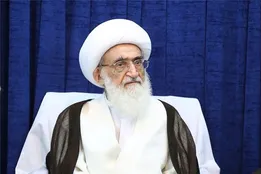 آیت‌الله نوری همدانی: شرکت در انتخابات و انتخاب اصلح لازم و واجب است‌