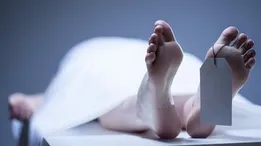 مرد جوان قربانی قاتل خاموش شد