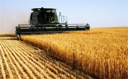 واکنش به فساد گسترده‌ در سیستم خرید تضمینی گندم