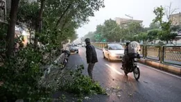 هشدار زرد هواشناسی صادر شد؛ این ۱۲ استان در معرض بادهای تند