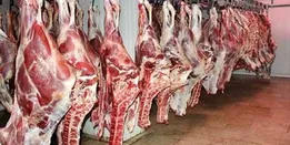 ماجرای دپو ۱۸ هزار تن گوشت وارداتی چه بود ؟