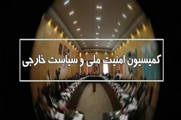 جزئیات جلسه کمیسیون امنیت ملی؛ نیرو‌های مسلح ایران هوشیار و برای هر سناریویی آماده هستند