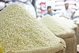 گزارش میدانی از بازار برنج؛ قیمت‌ها همچنان در کانال ۴۵۰ تا ۵۵۰ هزار تومان