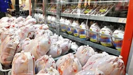 قیمت جدید گوشت مرغ امروز ۳۰ تیر ۱۴۰۵/ ران و سینه مرغ کیلویی چند شد؟ + جدول