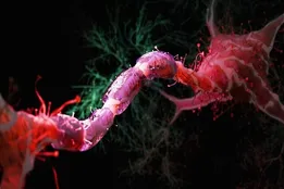 مبارزه با پیری مغز با کاهش ۳۰ درصدی کالری دریافتی