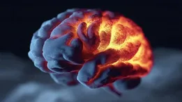 پروتئین تاو از مغز در برابر آلزایمر و زوال عقل محافظت می‌کند