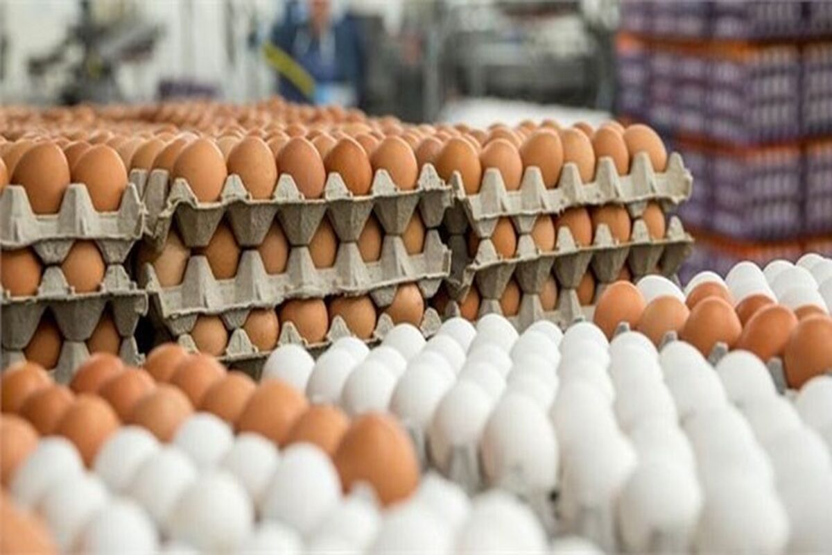 فاصله وعده تا اجرا در بازار مرغ و تخم‌مرغ