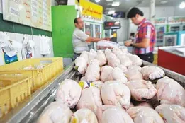 قیمت جدید مرغ در بازار اعلام شد