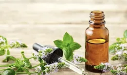 درمان طبیعی فشار خون با روغن نعنا