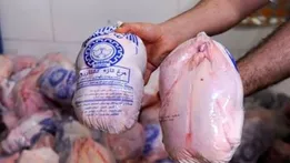 جزئیات توزیع مرغ منجمد در سراسر کشور