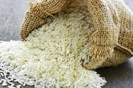 لغو ممنوعیت فصلی واردات و ترخیص برنج در سال ۱۴۰۵
