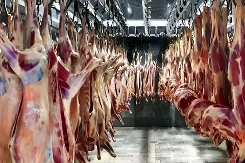 گوشت قرمز گران‌تر نشد؛ آخرین قیمت گوشت گوسفندی و گوساله