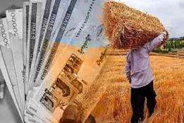واریز مرحله جدید مطالبات گندم‌کاران/ پرداخت‌ها به ۶۲.۳ همت رسید
