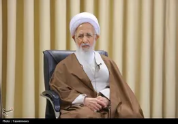 مرجع تقلید شیعیان: اهانت به رهبر کاتولیک جهان باید ترمیم شود / مسیحی‌ها این منکر را نهی کنند