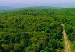 آتش‌افروزی انسان‌نماها در جنگل‌های زاگرس/ چرا بازدارندگی کافی نیست؟