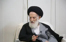خبر تلخ برای حوزه؛ آیت‌الله شبیری زنجانی دار فانی را وداع گفت