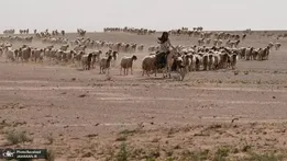 سرانجام تلخ چوپانی که پایگاه اسرائیل در عراق را لو داد