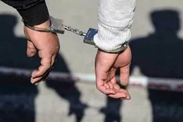 «هر کسی چشم روشن دارد که دزد نیست!»؛ دفاع عجیب متهم زورگیری در تهران