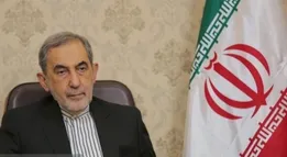 ولایتی: ترامپ از ترس شکست به سرعت تسلیم می‌شود