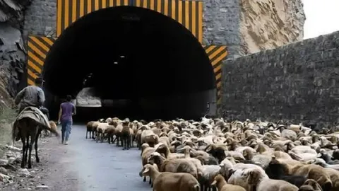 کندوان چه روزهایی بسته است؟ اعلام زمان دقیق انسداد محور