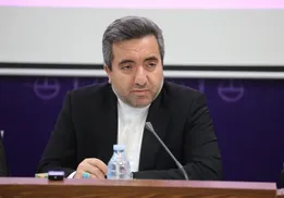 رئیس سازمان ثبت: 3500 موکب در سراسر کشور ‌شناسنامه‌دار شدند‌