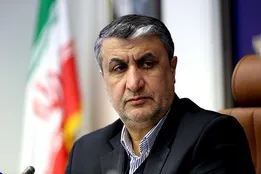 اسلامی: درمان، سلامت و امنیت غذایی اولویت‌ سازمان انرژی اتمی ایران است