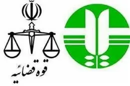 مصادیق مجرمانه محیط زیستی جدید در فضای مجازی اعلام شد