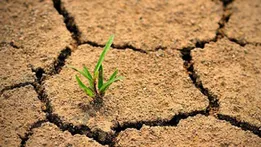 از بیابان‌زایی تا بیابان‌زدایی؛ زمین قربانی سوء مدیریت‌ها